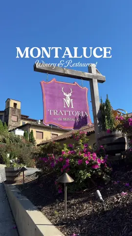 If you’re looking for a peaceful escape… this place feels like a little slice of Tuscany right in Georgia. Whether you’re here for a cozy brunch, a romantic dinner, or a slow afternoon tasting flights on the patio — it’s the kind of place that makes you slow down and savor the moment. 📍 Montaluce Winery & Restaurant (An hour+ from Atlanta)  Monday–Thursday: 11 AM – 9 PM Friday–Saturday: 11 AM – 10 PM Sunday: 11 AM – 9 PM ✨ Come for the wine, stay for the view #thingstodoinatlanta #montalucewinery #winery 