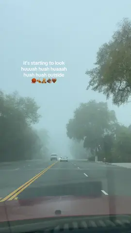 im ready for the rain to come 😭 #twilightsaga #twilighttok #relatable #twilightvibes #fallaesthetic 