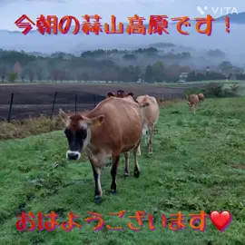 おはようございます！今朝の蒜山高原です❤️ #蒜山高原  #ひるぜんジャージーランド  #redhotchilipeppers  #chilipeppers  #レッチリ 