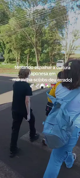 🕊️🕊️🕊️🕊️🕊️#espalhandoaculturajaponesa #maravilhasc #foryou 