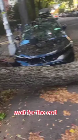 #nyc #fyp #trending #tiktok #halloween 