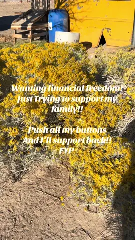 #supportsmallbusiness #financialfreedom #engaging #fyp #trending 