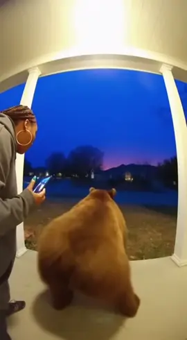 Bear is enjoying having a hype woman 🐻 DM AI to learn or grow your business with videos 🎥 #beardancing #bearsfamily 