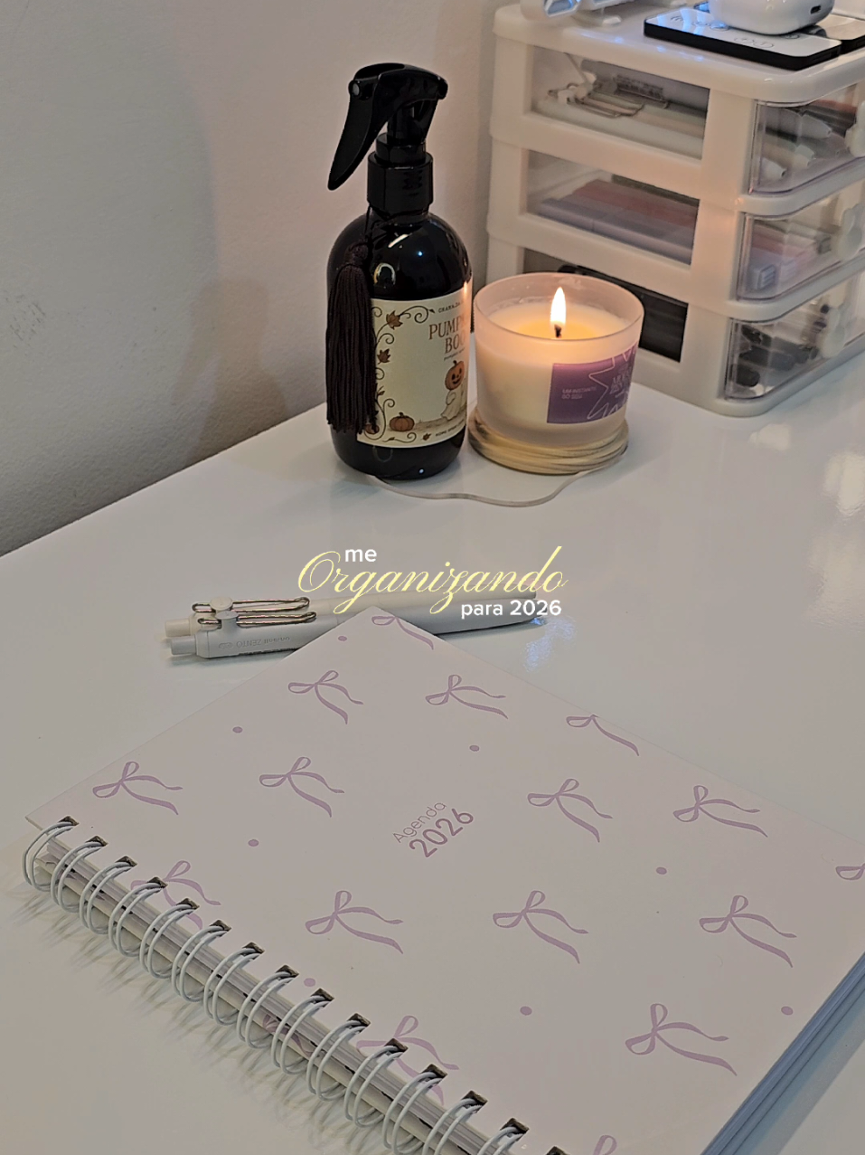 ⋆˚🌷⌇ me organizando para 2026  por aqui já comecei a anotar meus planos e metas para  2026! sinto que será um ano incrível 🤍 #planwithme #planing #romanticizeyourlife #studytok #cozytok 