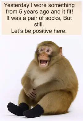 #FilmoraGoVideoEditor&Maker 