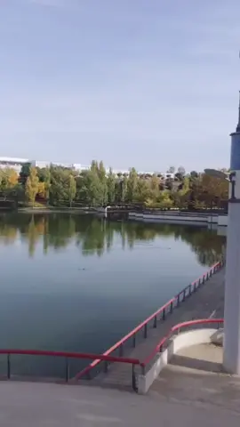 #dejaloir  #nadadoleramas  #queteingnoren 