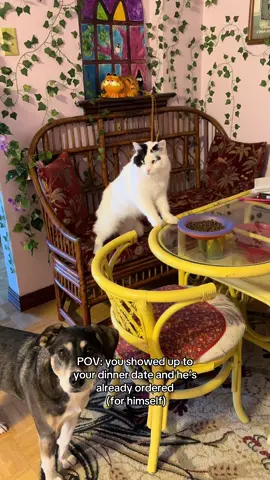 It’s a platonic dinner date