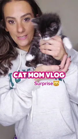 They're just so cute. we're doing what we can for them. poor babies. #tinasrecoverytok #cats #kittens #catmom #catmomlife 