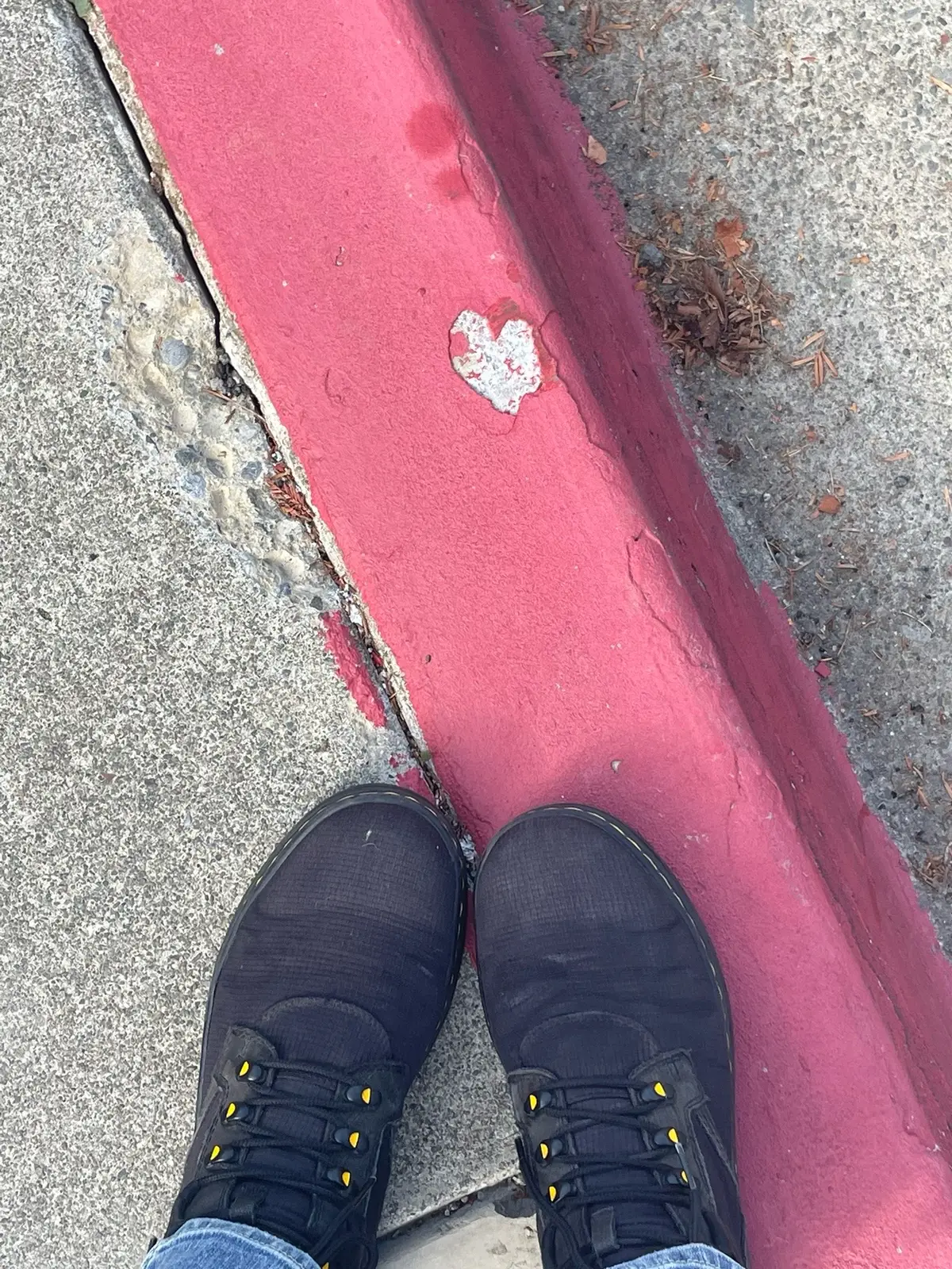 finding joy in the small moments 