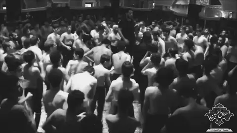 #محمدباقر #الذاكرسيدمهدي #ياحسين #وصلوني10k 