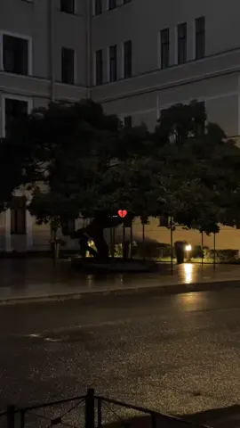 #تصميم_فيديوهات🎶🎤🎬 #شاشه_سوداء #fyp #foryou #viral 