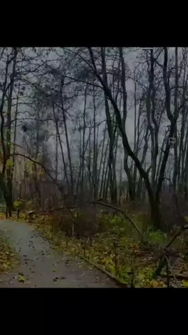 #CapCut SMG kita sllu  berbaik sangka KPD siapa pun..ingatkan diri kita hanyalah seorang pendosa  agar sllu beristighfar trs SM Alloh #asslamualaikum🙏🥰 #fypシ゚viral🖤tiktok 