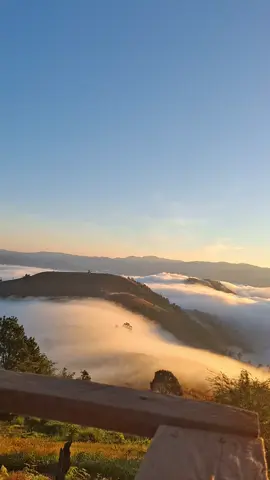 📍เซโบคี#เซโบคี #ลานกางเต็นท์ #บ้านแม่หอย #แม่แจ่มเชียงใหม่🌾🍃🌲🌿 