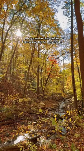 #fyp #solotravel #poconos #travel #nature 