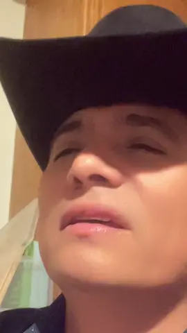 #tiktokherovillaincontest 