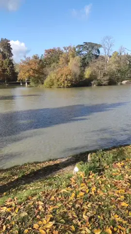 #ouidahplage😅👍🏽👍🏽👍🏽 #benintiktok🇧🇯 