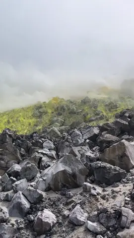 Localizado na Ilha Isabela, é um dos mais impressionantes vulcões de Galápagos. Com uma das maiores crateras do mundo — cerca de 10 km de diâmetro — ele oferece uma paisagem única, com contrastes preto e minerais ricos em ferro e olivina — um mineral verde-oliva comum em rochas vulcânicas basálticas. A última erupção, em 2018, lembrou a todos que as ilhas ainda estão vivas e em constante transformação. Caminhar por suas trilhas é como percorrer o coração pulsante de Galápagos. #sierranegravolcano #Galápagos #vulcan #equador #craters