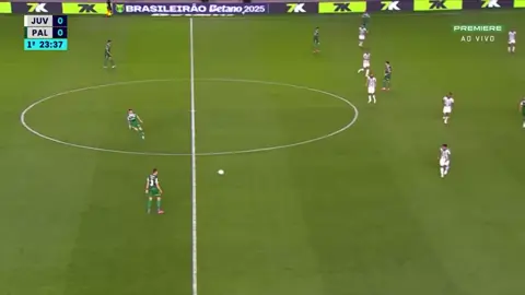 Gol Bruno Rodrigues - Juventude 0x1 Palmeiras #gol #palmeiras 