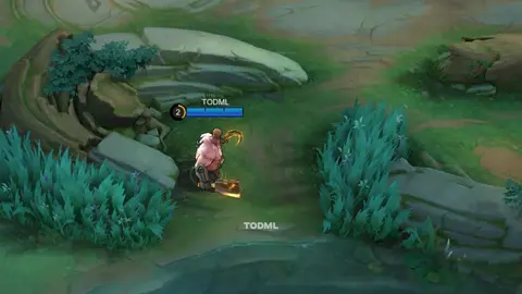 Si fanny kenapa 🗿 #mlbb 