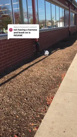 Replying to @Annamarie 