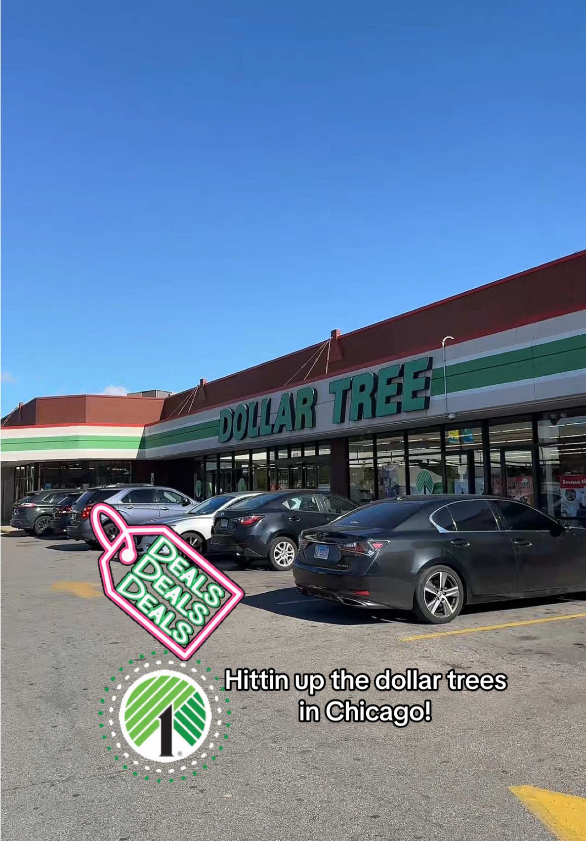 Hittin up the dollar trees  in Chicago!!  #DollarTreeFinds #dollartree #dollartreefinds #dollartreeshopping #budgetshopping 