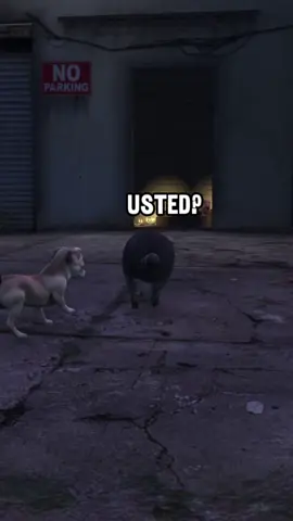 Una pequeña integrante @Terry @Prinx Bere 🪄 #gtav #mexico #fyp #gtaroleplay #humor 