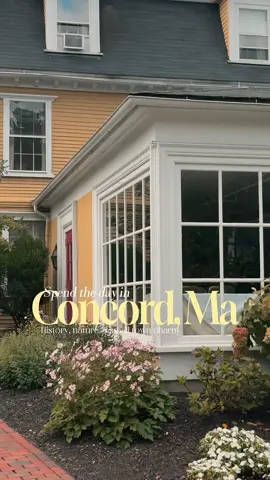 Save this for your next Massachusetts day trip — Concord is one of the most charming towns in New England 🍂 Just 30 minutes from Boston — an easy and unforgettable day trip. 📍Walden Pond — walk the peaceful 1.5-mile loop where Thoreau once lived and wrote 📍Orchard House — the Little Women filming location and Louisa May Alcott’s home 📍Old North Bridge — where the “shot heard round the world” began 📍Colonial Inn — stop for lunch or tea at this historic inn (est. 1716) 📍Downtown Concord — filled with antique shops, cozy cafés, and centuries-old homes 📍Sleepy Hollow Cemetery — where Emerson, Hawthorne, Alcott, and Thoreau are buried A perfect blend of history, literature, and small-town charm 💛 Follow for more New England travel ideas  @VisitMassachusetts @Colonial Inn  #concordma #visitma #newengland #daytrip #bostongetaway
