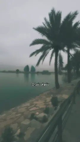 #بغداد_العراق🇮🇶 #ترندات_تيك_توك_جديدة #لايك_متابعه #اكسبلورexplore #explore 