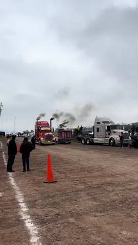 Chulo ese t800 que chulo truena 🚛🦜❤️😍 #arranconesdetrailerschinaguapanpuebla🚛😍🦜 #trailerosmexicanos🇲🇽💯😎 