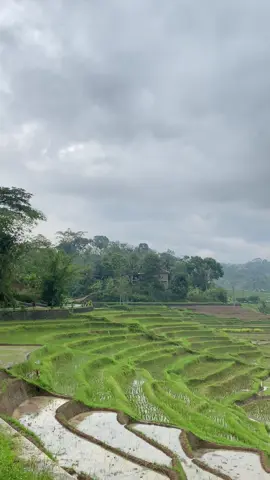 🌱#wonogiri #wonogiri24jam #slogoretno 