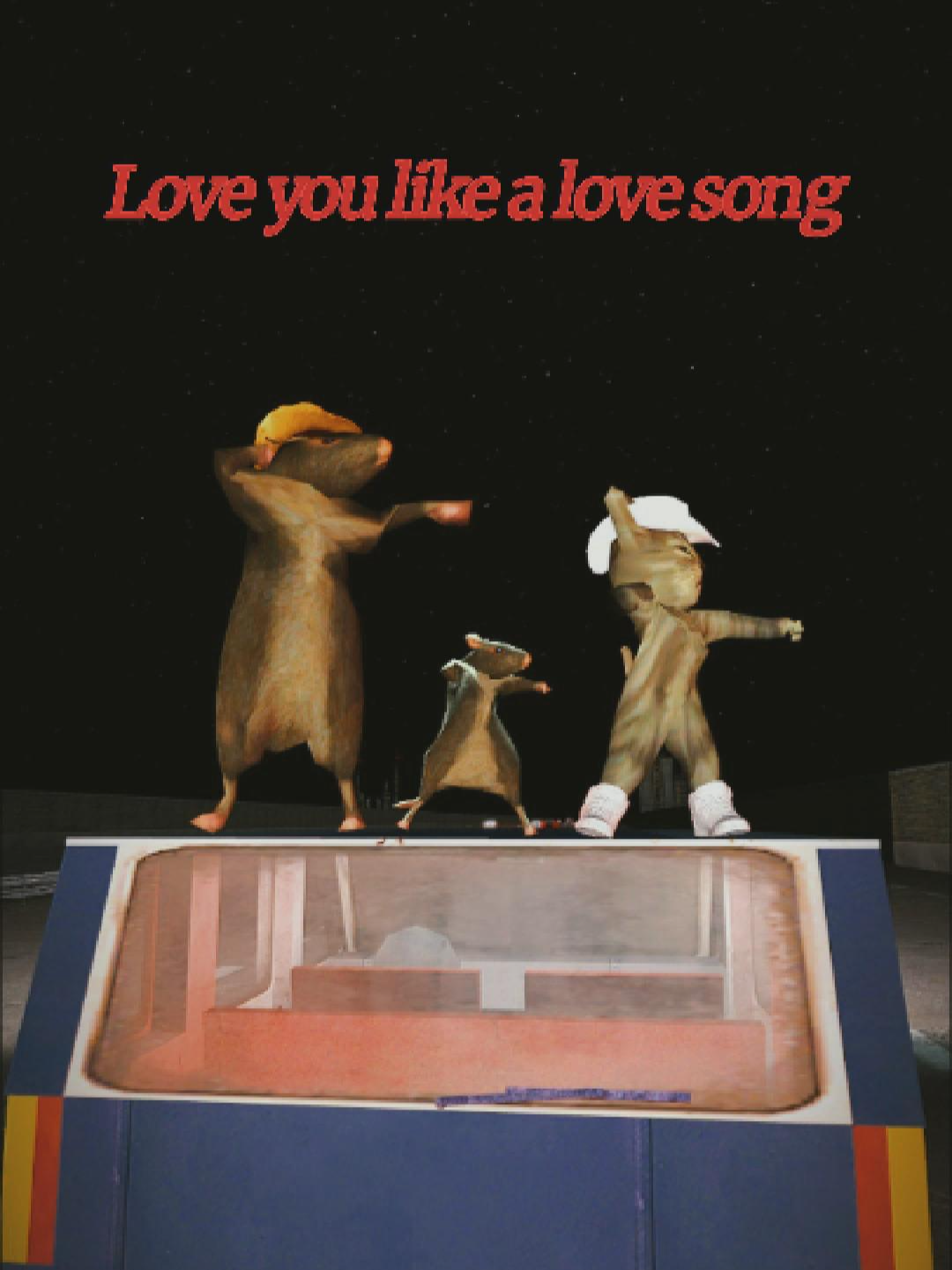 Love You Like A Love Song #gatodonato #gato #rato #cat #rat #danca #gmod