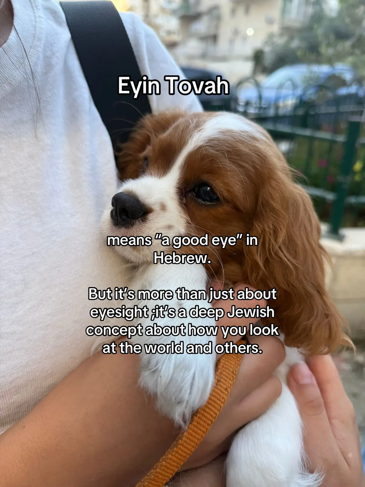Basically, Eyin Tovah is the ability to look at life with kindness, generosity, and faith : seeing everything and everyone through a lens of goodness. The second you change how you see the world is the second that your world changes.  #eyintovah #goodeye #hebrew #jewish #goodness 