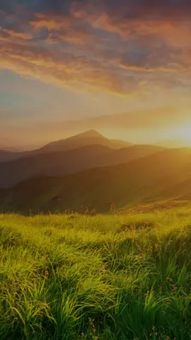 🎶🎶Feliz inicio de semana#buenosdias #lunes #iniciodesemana #viral #paratii 