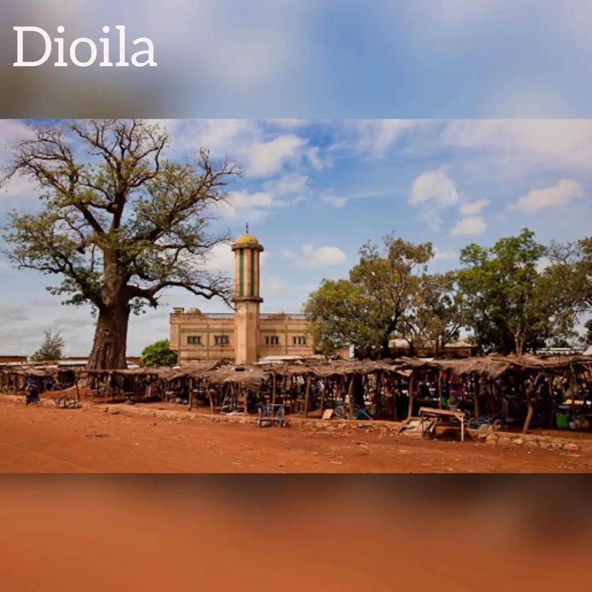 #🇲🇱223africa💖🇳🇪🇧🇫🇨🇮🇸🇳🇬🇲🇲🇷 