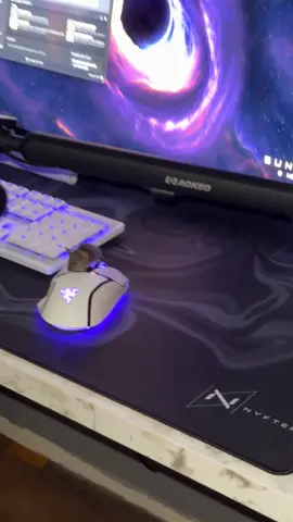 Sie heißt jetzt razer✌️ #fy #maus #mouse #fyp #georgiossidiropoulos 