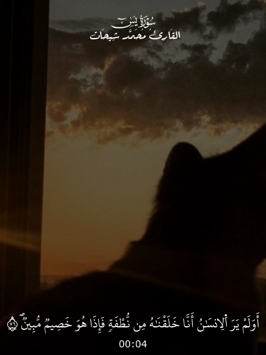 القَارِئُ مُحَمَّد شِيحَات سُورَةُ يَسِٓ ــ روَاية وَرش عَن نافِع  {أَوَلَمْ يَرَ اَ۬لِانسَٰنُ أَنَّا خَلَقْنَٰهُ مِن نُّطْفَةٖ فَإِذَا هُوَ خَصِيمٞ مُّبِينٞۖ ٦٧۝} #قران #قران_كريم  #راحة_نفسية  #محمد_شيحات  #سورة_يس 