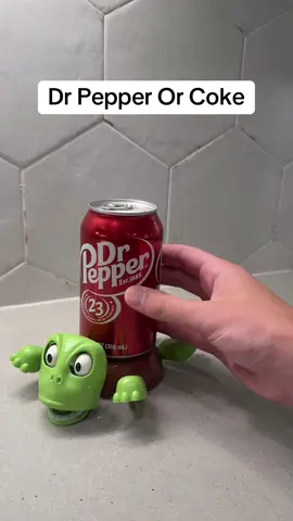 Screaming Turtle Coaster 