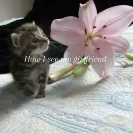 #xyzbca #wlw #viral #fypシ #wuhluhwuh 