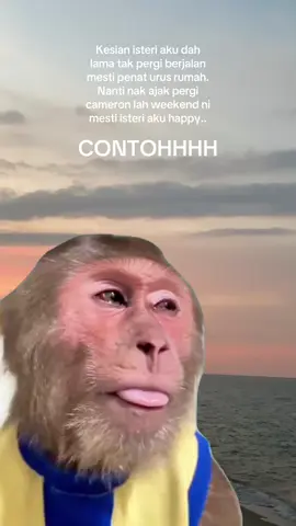 #MemeCut #Meme #MemeCut 