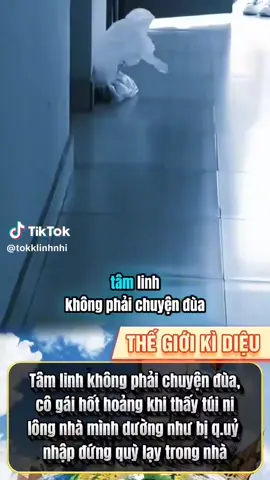 #vietnamtoiyeu #tĩtokgiaitri24 #xuhuongtiktok #cam ơn các bạn đã ghé xem video của mồ côi 