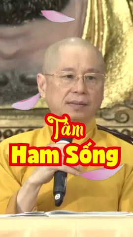 #phatphapnhiemmau #luatnhanqua #daolyhay #xuhuongtiktok #capcut 