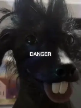 #fyp #trend #viral #fypシ #fyppppppppppppppppppppppp 