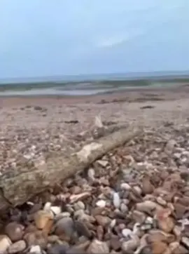 #Meme #MemeCut #CapCut 