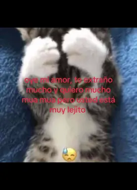 la extraño a mi bebita 😞  #amoaminovia #teamo #cuentadedicadaaminovia #amordemivida #laamooo 