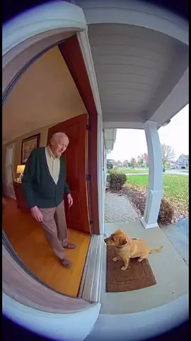 Real or Fake? 😳😳 #meme #fyp #ia #ai #foryou 