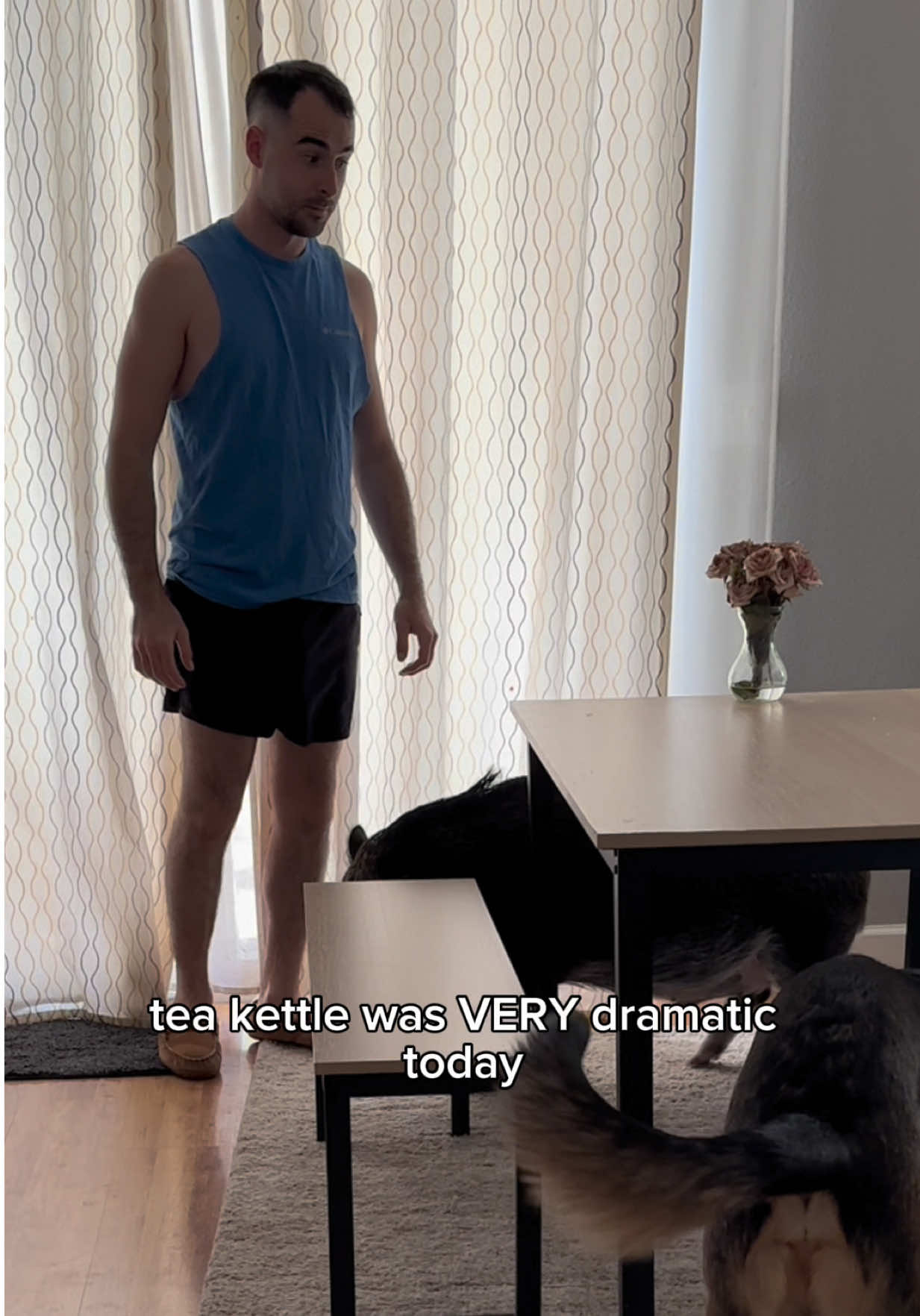 This is Merlin 95% of the time when @Merlin’s Dad 🫃🏻 tries to tell him what to do