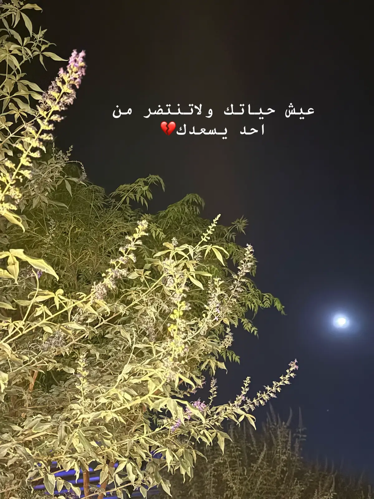 #تصويري📷 #اكسبلور #تصويري📷 #اكسبلور 