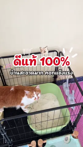 #ทาสแมว #คอกกั้นสัตว์เลี้ยง #คอกกั้นสัตว์เลี้ยงพับได้ #คอกกั้นสัตว์เลี้ยงราคาประหยัด 