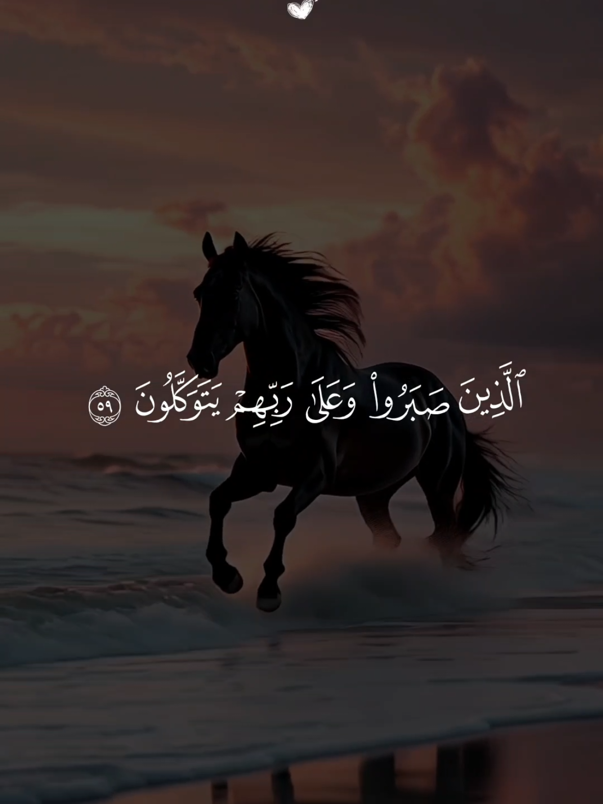 تلاوة خاشعة 🤍 الذين صبروا وعلى ربهم يتوكلون ...القارئ ماهر المعيقلي  سورة العنكبوت🤍🌿#alhamdulillah #قران #quran #قران_كريم #islamic_video 