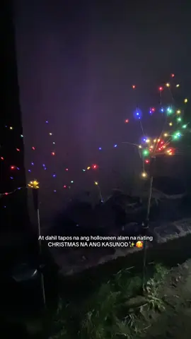 Waterpoof Solar Fireworks Christmas light ✨ #christmasdecor #christmaslight #solar #waterproof #fypage 